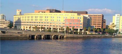 Tampa General Hospital, Tampa,FL health insurance